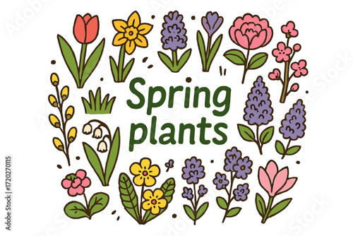 Spring Plant Doodles. Spring plants. Hand-drawn doodle illustration of spring plants. Tulip, daffodil,