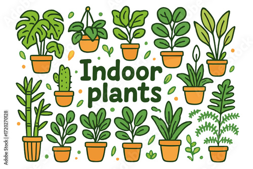 Indoor Plants Doodle. Indoor plants. Hand-drawn doodle illustration of indoor plants. Monstera, pothos, snake