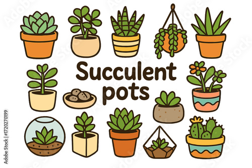 Colorful Succulent Pots. Succulent pots. Hand-drawn doodle illustration of succulent pots. Echeveria in clay