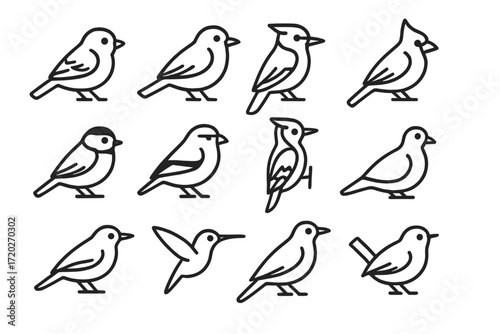 Backyard Bird Outline Icons. Backyard Birds. Line outline icon set of Backyard Birds: sparrow, robin, blue jay