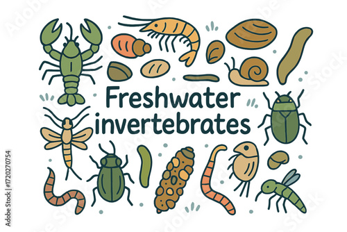 Freshwater Invertebrates Doodle. Freshwater invertebrates. Hand-drawn doodle illustration of freshwater