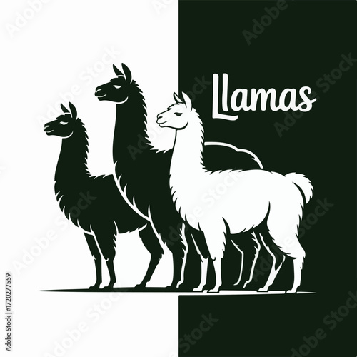 Black and White Llama Silhouette Collection