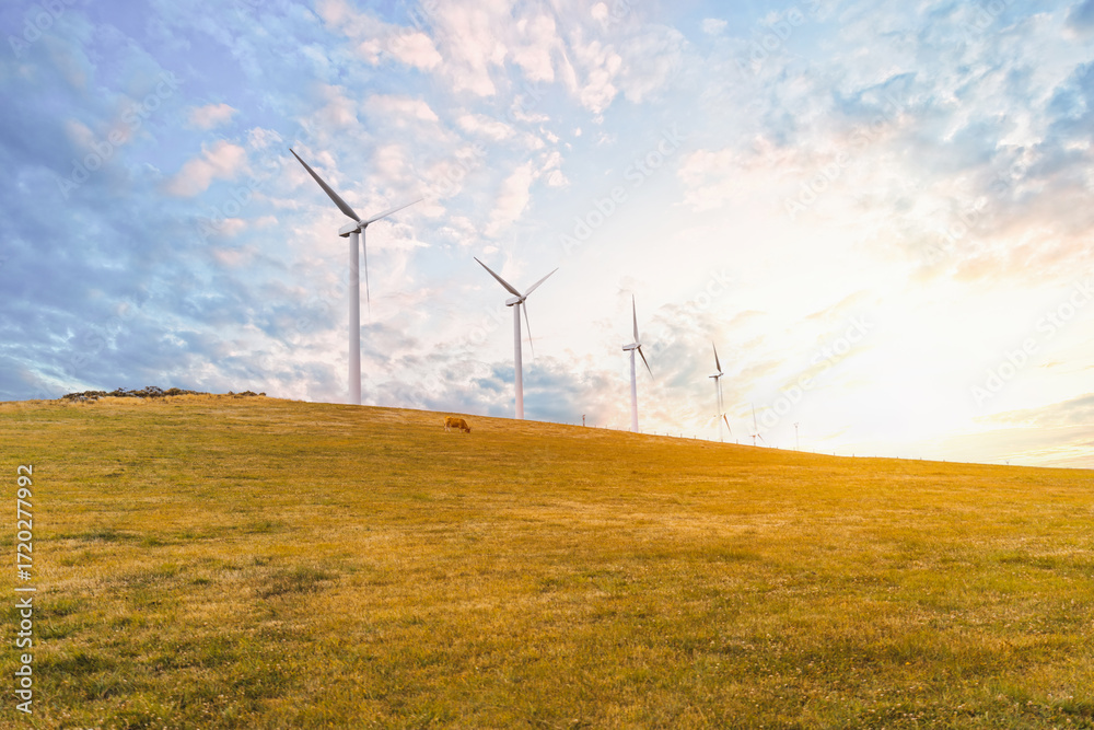 Obraz premium Wind turbines on golden grassy autumn hill at sunset with dramatic cloudy sky, symbol of renewable energy and sustainable power generation, with a grazing cow in the field