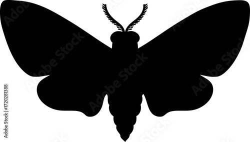 Hand drawn hawk moth butterfly silhouette illustration. Perfect for banner, poster, logo, sticker, label, sale.  