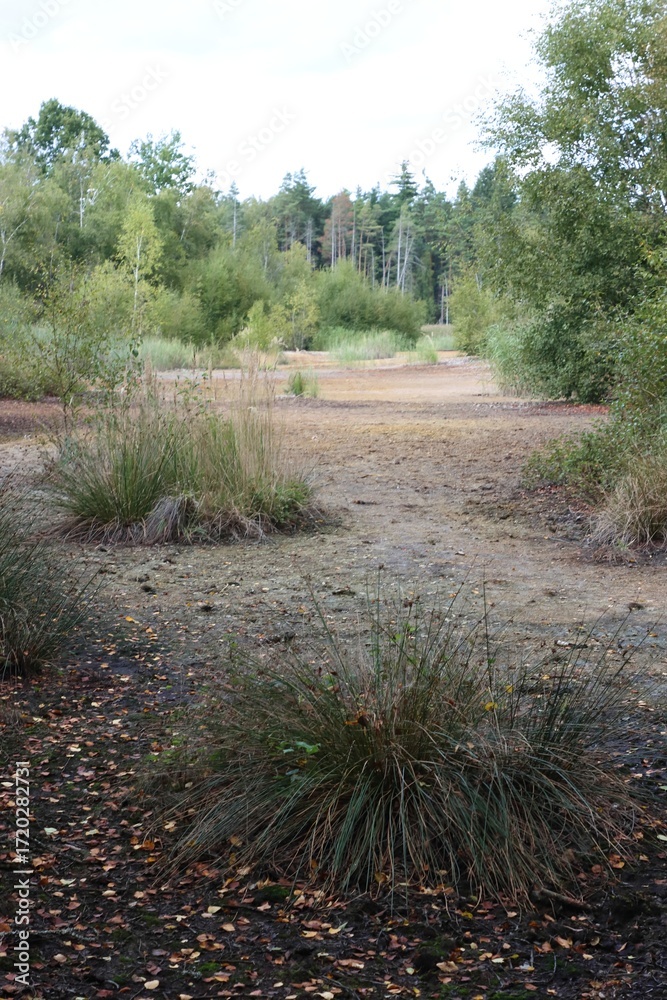 Fototapeta premium SOOS nature reserve hot mud volcano