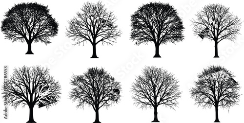 Deciduous tree silhouette illustration, winter forest vector art, bare branches design, woodland background, black nature shapes, seasonal landscape graphic