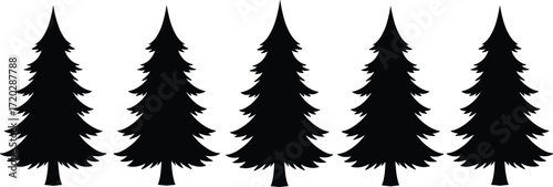 Pine tree silhouettes, evergreen forest vector, conifer trees artwork, decorative plant design, abstract nature illustration, isolated tree graphic, botanical design