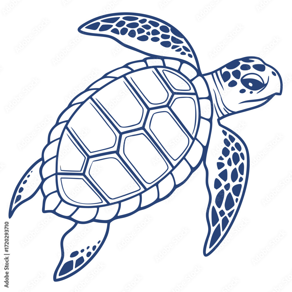 Fototapeta premium vector illustration of turtle, Colorful turtle, Vector art turtle, Vector Design, Turtle Design, Vector Graphic