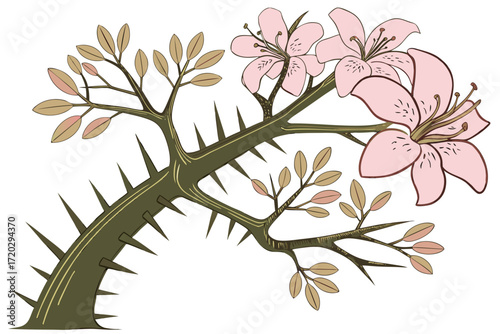 Vector illustration of a silk floss tree with delicate pink blooms and a spiky trunk