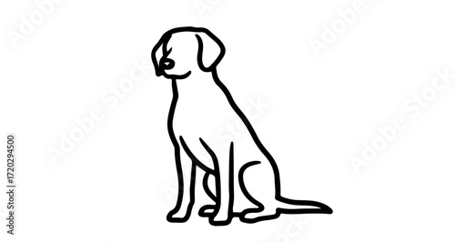 Illustration of a labrador dog, a loyal companion and popular pet breed