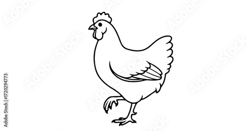 Chicken walking farm animal, poultry, livestock, bird, hen, rooster, chick, fowl, domestic