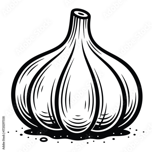 Vector art of a garlic bulb is displayed isolated on white background in black and white