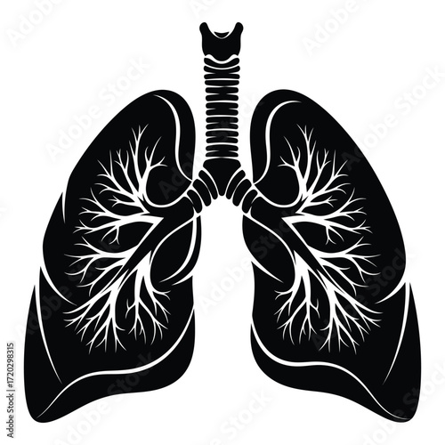 Vector art of a detailed black and white illustration of human lungs