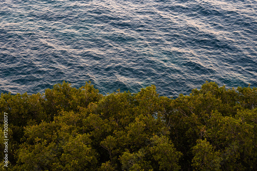 Green treetops fill the lower half of the frame, while the upper half shows blue sea with gentle waves. Minimalist coastal landscape, perfect for backgrounds.