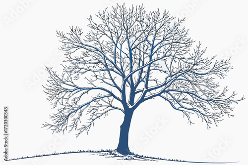 Bare winter tree with frosty branches vector illustration scalable svg for nature art