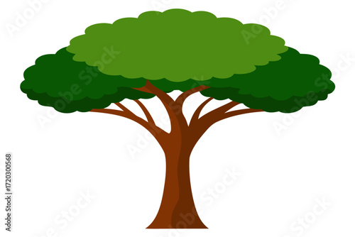 Kapok tree vector illustration with thick trunk and sparse green canopy