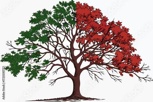 Realistic dual season tree vector art half summer green half autumn red scalable illustration
