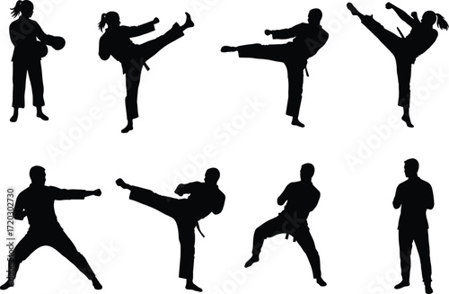 Karate silhouette collection, martial arts training, high kick pose, self defense, fighter stance, action figure, combat skills