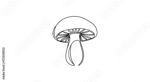 Minimalist Mushroom One Line Botanical Illustration Unique one line mushroom art. Perfect for nature designs, woodland themes, food illustration, and organic vector decor