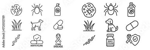Doxycycline and Lyme disease prevention symbols in a clear and informative layout