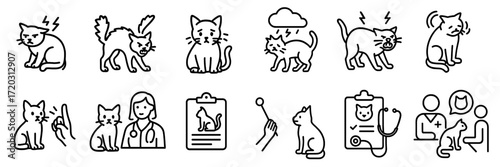 Cat behaviors and veterinary care illustrated in simple line art for easy understanding of feline emotions and health