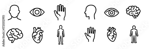 Line art icons depicting human anatomy, senses, and emotions showing various elements like brain, heart, eye, and hand