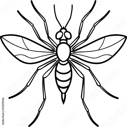 Minimal Mosquito Line Art Vector Illustration on White Background