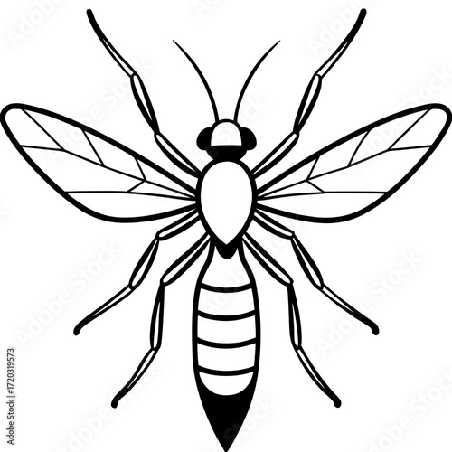 Minimal Mosquito Line Art Vector Illustration on White Background