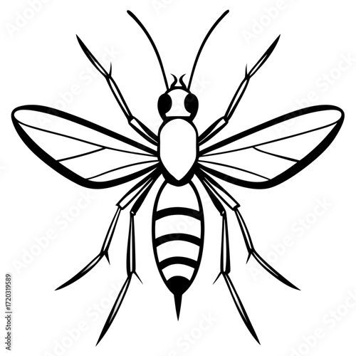 Minimal Mosquito Line Art Vector Illustration on White Background