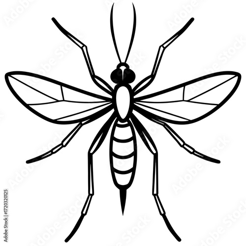 Simple Mosquito Outline Vector Drawing Isolated on White