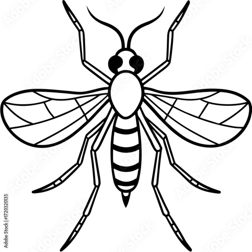 Simple Mosquito Outline Vector Drawing Isolated on White