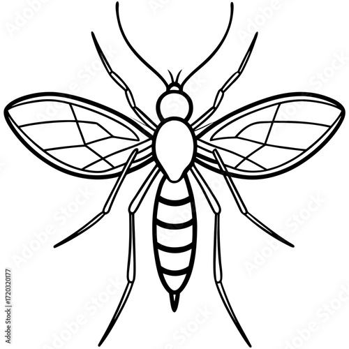 Simple Mosquito Outline Vector Drawing Isolated on White