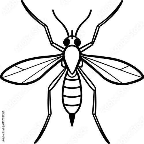 Simple Mosquito Outline Vector Drawing Isolated on White