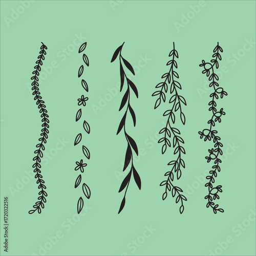 botanical vertical vine border drawing set