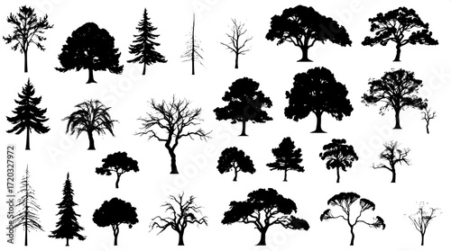 An inventory of tree forms illustrated as delicate black silhouettes against a pristine white background, arranged in a grid layout with ample spacing, exuding a minimalist and graphic aesthetic, show