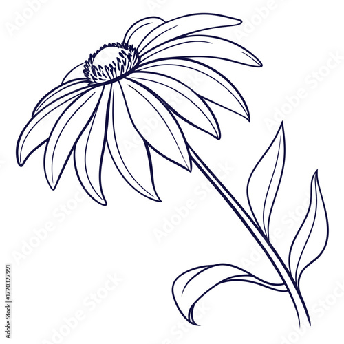 Vector art of a captivating line art illustration showcases a single, elegant blackeyed susan flower, its petals gracefully unfurling, the delicate stem and leaves add to the flowers charm