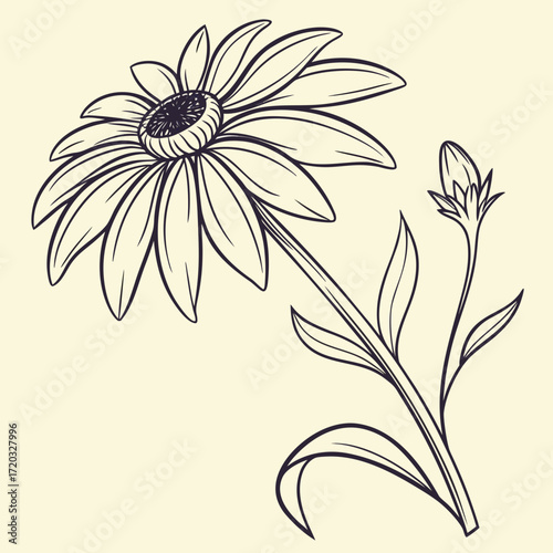 Vector art of a captivating line art illustration showcases a single, elegant blackeyed susan flower, its petals gracefully unfurling a delicate bud and leaves add to the flowers charm