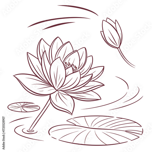 Vector art of detailed line drawing of a lotus flower in full bloom, surrounded by lily pads and gentle ripples on the water surface, a serene and elegant botanical illustration