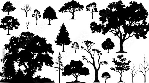 Vector-style illustration of multiple tree species, presented as black silhouettes on a pure white background, with minimal detail and uniform spacing to emphasize the structural variety of foliage, f