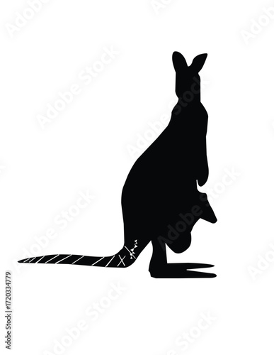 kangaroo with baby kangaroo vector illustration