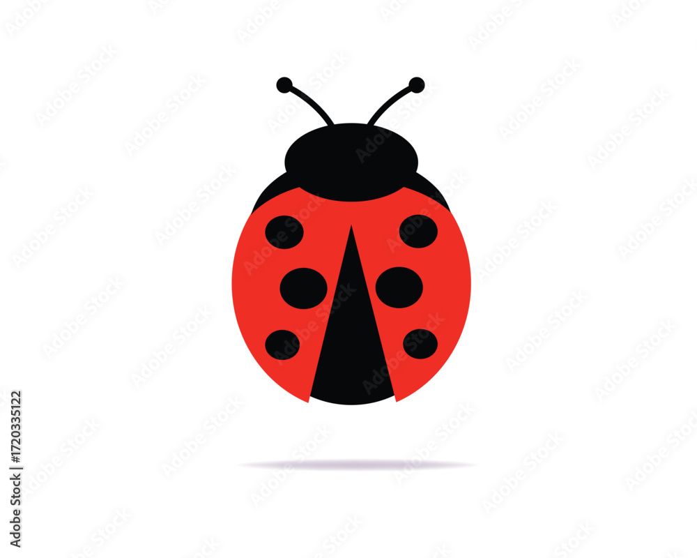 Fototapeta premium ladybug on white background
