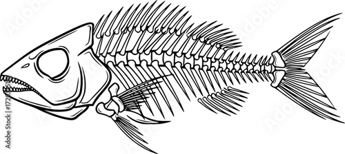 black and white minimalist illustration of a fish skeleton, vector