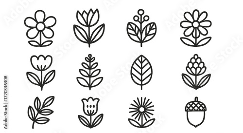Display of various floral and leafy designs featuring simple outlines and diverse shapes for creative projects and crafts