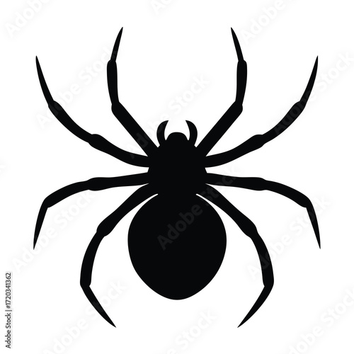 Black spider silhouette vector illustration arachnid insect halloween creepy scary design element clip art