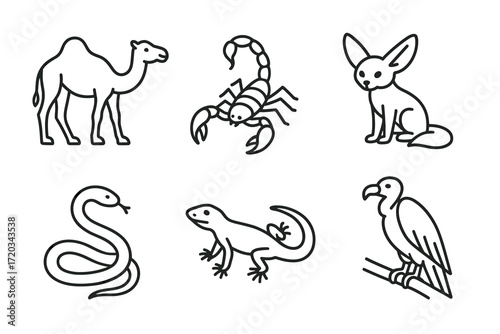 Outline illustrations of desert animals: camel, scorpion, fennec fox, snake, lizard, vulture