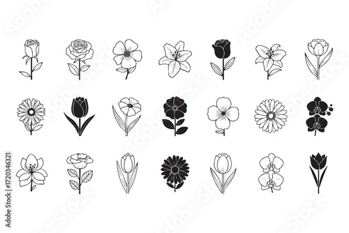 Set of Black and White Line Art Icons of Various Flowers and Floral Elements on White Background Keywords: rose flower tulip flower lily flower orchid flower daisy flower poppy