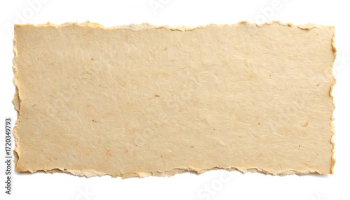 Wallpaper Mural Aged, ripped paper sheet Torontodigital.ca