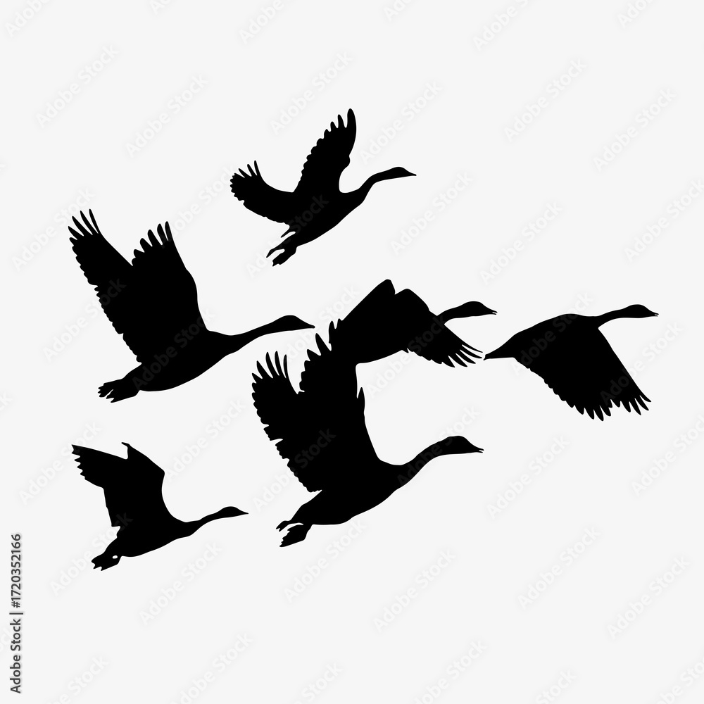 Obraz premium Flying birds silhouette clipart, animal illustration