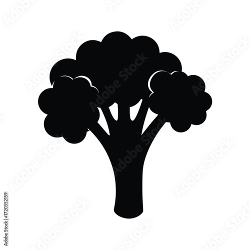 Broccoli vegetable nutrition healthy food green plant diet vegan vegetarian organic raw fresh cooking