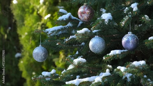 Woman in Winter Clothing Hanging Christmas Ball Ornament on Snowy Pine Tree Branch with Multiple Festive Decorations for Christmas and New Year Celebration
